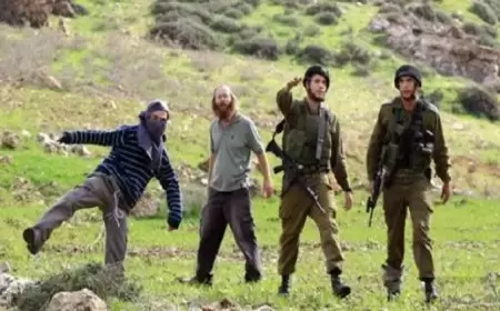 بيت لحم: مستعمرون يهاجمون مزارعين في قرية المنية ويسرقون المحصول الزراعي