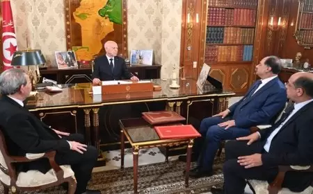 الرئيس التونسي يجري تغييرا حكوميا جزئيا شمل وزارة الداخلية