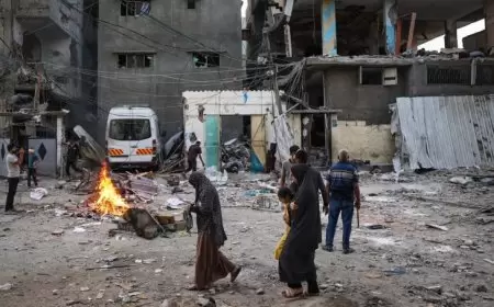 233 يوما للحرب على فلسطين