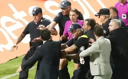 الشرطة تنقذ "الحكمة التاريخية" فرابارت في نهائي كأس اليونان