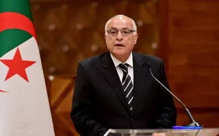 الجزائر تعتزم إعادة طرح ملف عضوية فلسطين أمام مجلس الأمن