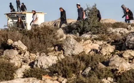 مستعمرون يسرقون صهريج مياه لمواطن في الأغوار