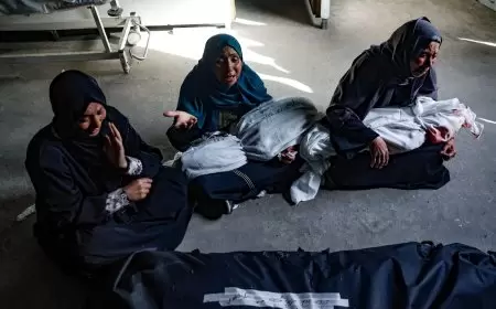 العفو الدولية تدعو الجنائية الدولية لفتح تحقيق في "جرائم الحرب" بثلاث غارات على مخيم المغازي ورفح