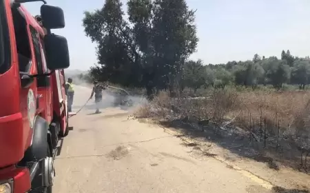 حريق يلتهم عشرات الدونمات من أراضي كفر الديك ودير بلوط غرب سلفيت
