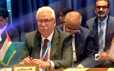 وزراء الصحة العرب يعتمدون قراراً بدعم القطاع الصحي الفلسطيني