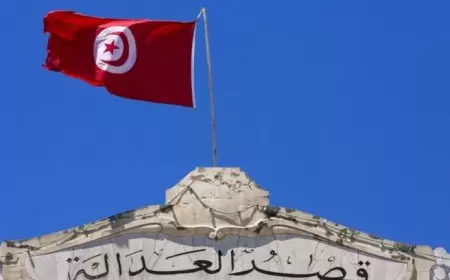 تونس.. شهران سجن وغرامة مالية بحق ناشطة مدنية بسبب المرسوم 54