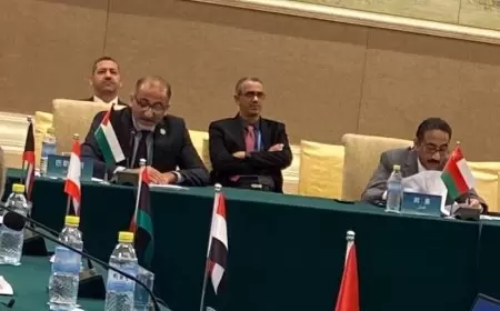 العكلوك: إسرائيل تتحدى العالم وتستمر بإرتكاب جريمة الإبادة الجماعية بغزة