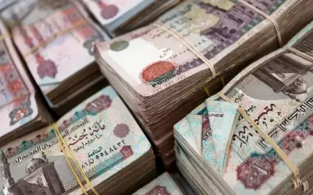 "الجنيه ثاني أفضل عملة في العالم".. تصريح يقلب التواصل