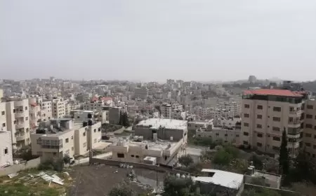 الطقس: أجواء صافية ومعتدلة