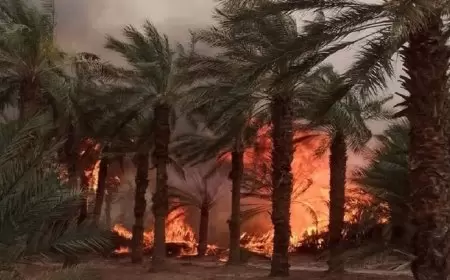 حريق هائل يخلف خسائر كبيرة بمؤسسة "اتصالات الجزائر" جنوب شرق البلاد