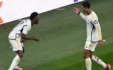 دوري أبطال أوروبا.. فينيسيوس ينال النجومية وبيلنغهام أفضل "شاب"