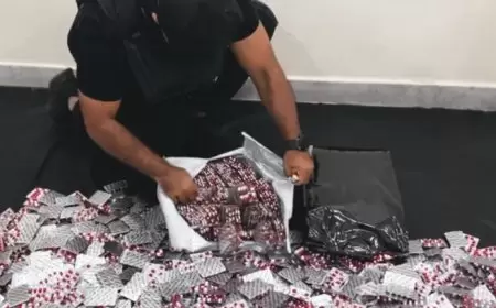 الكويت.. ضبط شبكة تهريب مخدرات تضم موظفَين بالإدارة العامة للجمارك