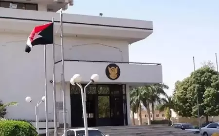 الحكومة السودانية تناشد المجتمع الدولي تقديم المزيد من المساعدات