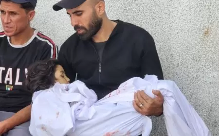 71 شهيدا خلال 24 ساعة و36550 منذ بدء الحرب