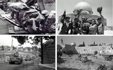 57 عاماً من "النكسة".. الصمود الفلسطيني والتضامن الدولي يُحبطان مشاريع الإبادة والتهجير