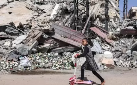 "الإحصاء" و"جودة البيئة": عدوان الاحتلال خلق بيئة غير صالحة للحياة بغزة