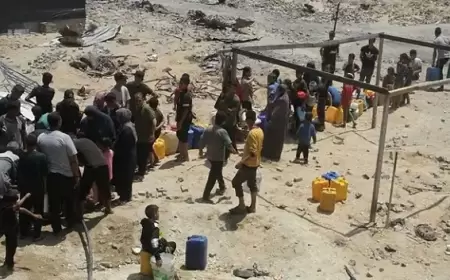 "فاو": أكثر من مليون شخص تهددهم المجاعة والموت في غزة بحلول يوليو