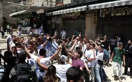 في ذكرى احتلال القدس: 1601 مستوطن اقتحموا الأقصى وسط اعتداءات واعتقالات