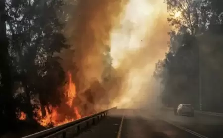 هيئة البث: الحرائق في شمال إسرائيل ضعف ما كانت عليه خلال حرب 2006