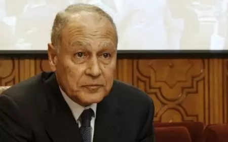 أبوالغيط: اعتراف سلوفينيا بفلسطين يسهم في تحقيق السلام وتجسيد حل الدولتين