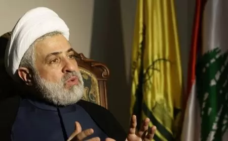 نائب نصر الله: ما ترونه من ردود مؤلمة هو لردع إسرائيل وليس ما نمتلكه من قدرة للردود التي يحين وقتها