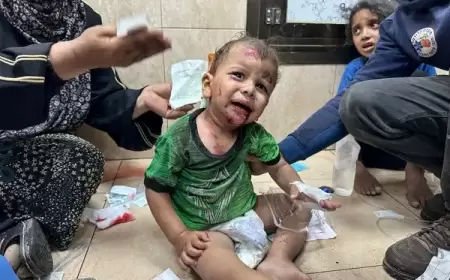 150 شهيدا بقصف غير مسبوق وسط غزة والاحتلال يعلن تحرير 4 محتجزين