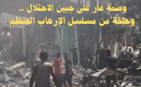 "النضال الشعبي" تؤكد بأن مجزرة النصيرات حلقة من مسلسل الإرهاب المنظم الذي يقوم به الاحتلال