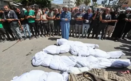 لليوم الـ249.. الاحتلال يواصل حربه على غزة مخلفاً شهداء ومصابين