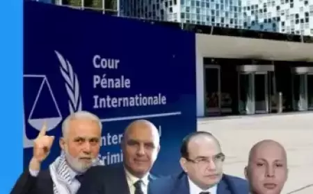 فريق المحامين الدولي يضع أمام "الجنائية الدولية" مذكرة دفاع حول مجزرة النصيرات