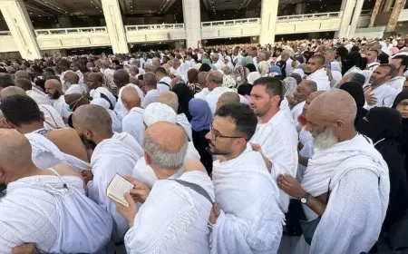 "ركن الحج الأعظم".. جبل الرحمة يتلوّن بالأبيض