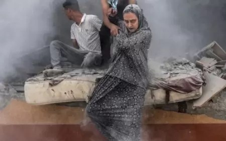 253 يوما للحرب على فلسطين