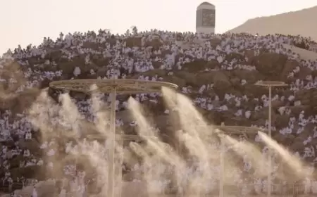 يوم الوقفة الكبرى: الحجاج يتوافدون اليوم إلى صعيد عرفات لأداء ركن الحج الأعظم