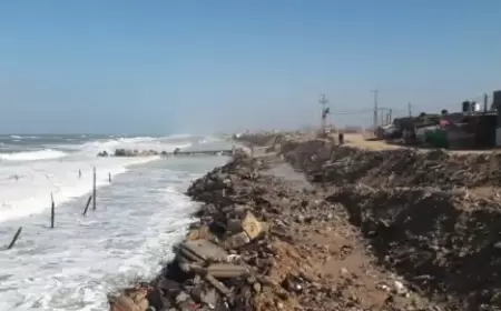 "السويدية" قرية "منسية" على بحر رفح.. لم تسلم بيوتها ولا قبورها من حرب الإبادة