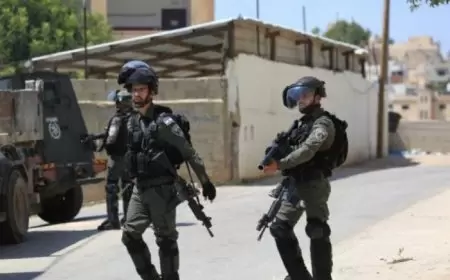 قوات الاحتلال تقتحم مدينة قلقيلية