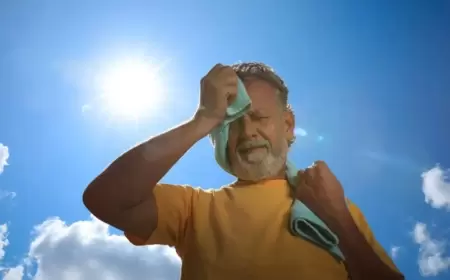 في غضون 15 دقيقة.. هكذا تدمر ضربة الشمس الجسم تدريجياً!