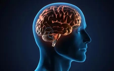 فيتامين B6 وصحة الدماغ.. دراسة تبعث الأمل