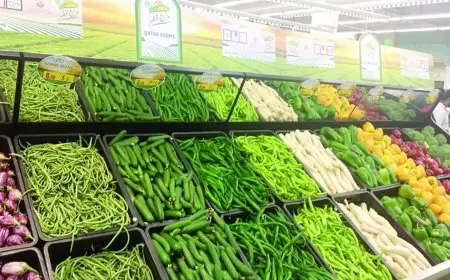 الإحصاء: انخفاض في أسعار المنتج خلال أيار