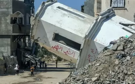 263 يوما للحرب على فلسطين