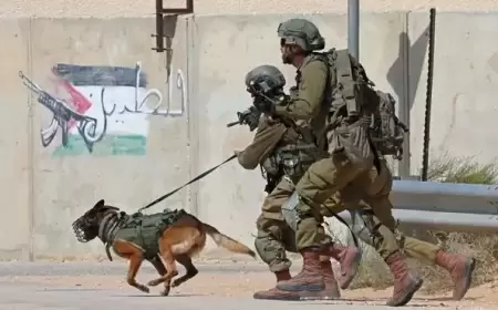 الاحتلال يقتحم سيلة الظهر وقريتي الفندقومية وأم دار في جنين