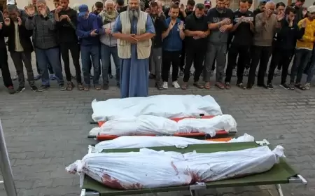 لليوم الـ265.. شهداء وجرحى في قصف الاحتلال المتواصل على قطاع غزة