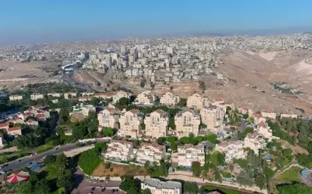 وزير الحكم المحلي يبحث مع برنامج الأمم المتحدة للمستوطنات البشرية آفاق العمل المشترك