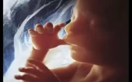 هل تتأثر أجنة الحوامل المصابات بالسرطان؟ علماء يجيبون