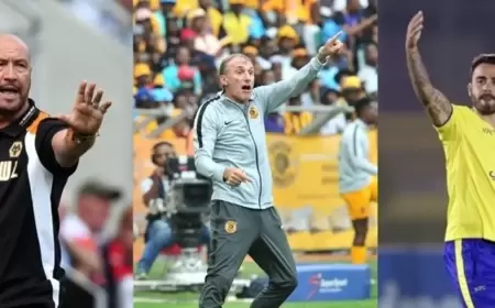 الإيطاليون في السعودية.. تجارب متواضعة سقطت من الذاكرة