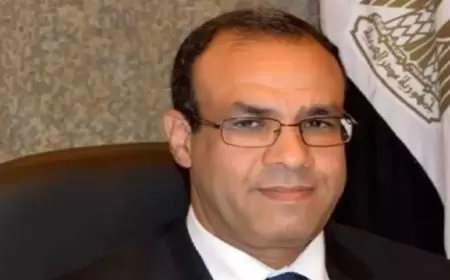 أول تصريح لوزير الخارجية المصري الجديد بعد تسلمه منصبه