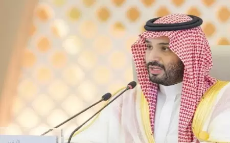 ولي العهد السعودي يجتمع مع سيناتور أمريكي ويستعرض العلاقات بين البلدين