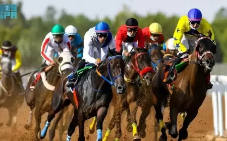 33 كأساً في النسخة الجديدة من سباقات الطائف