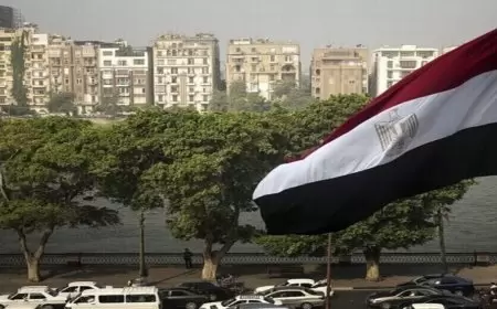 "القاهرة الإخبارية": مصر تستضيف وفودا إسرائيلية وأمريكية لبحث التهدئة في غزة