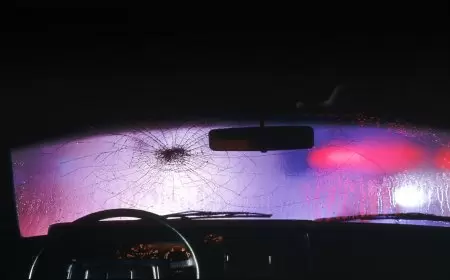 فنانة مصرية شهيرة تنجو من حادث سير مميت