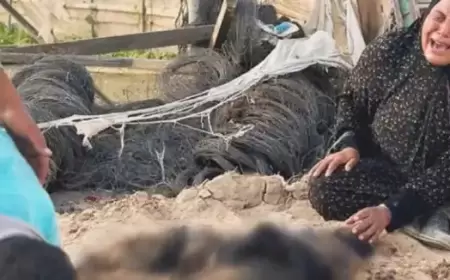 شهادات مروّعة.. الأورومتوسطي: جنازير الدبابات سحقت المحاصرين وهم أحياء