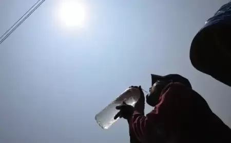 2024 العام الأشد حرارة على الإطلاق